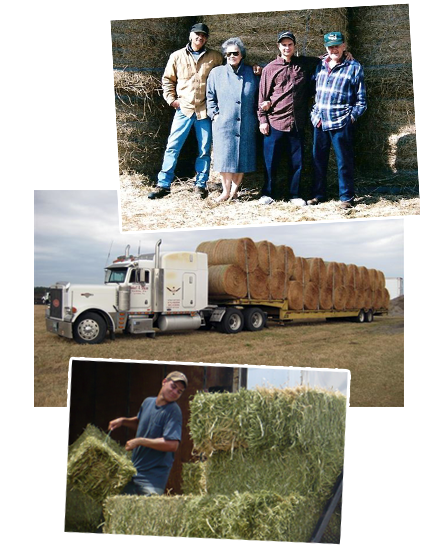 Schiro's Hay and Feed